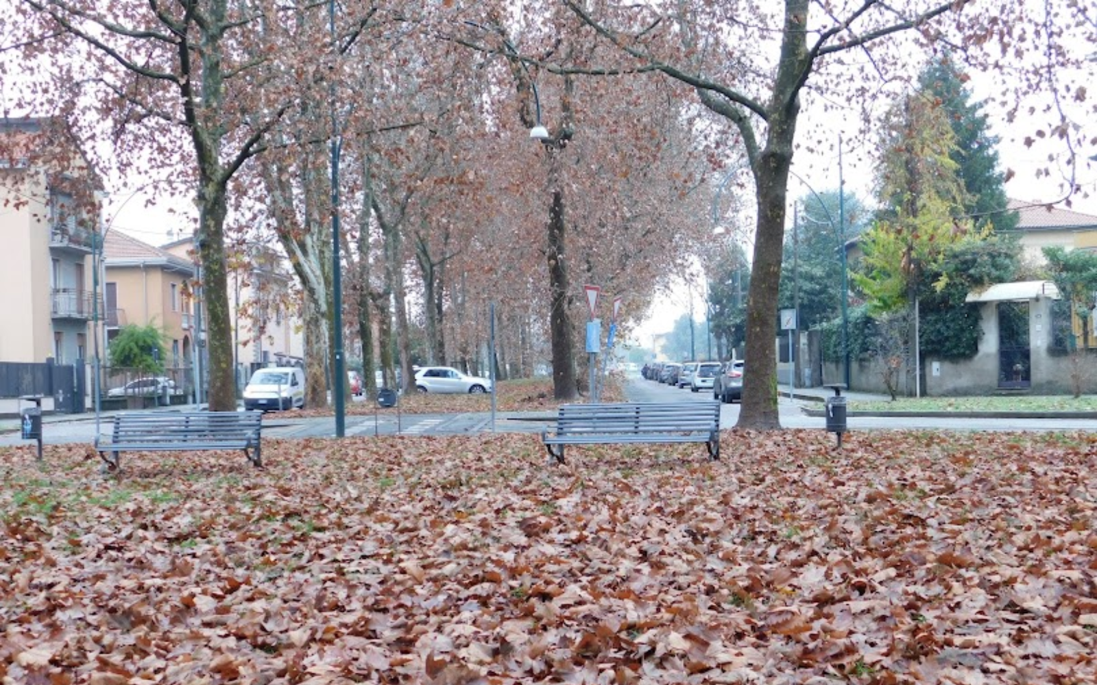 Praça arborizada com bancos e folhas secas durante o outono